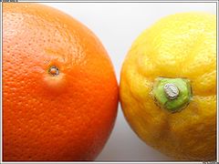 photo "Citruses"