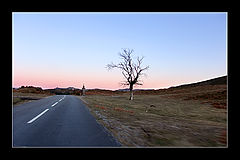 photo "***"