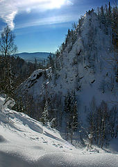 photo "Taiga"
