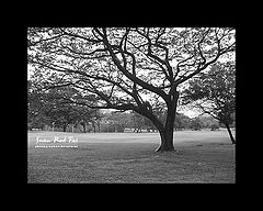 photo "Silence"