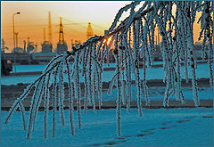 photo "Leaving of winter day"