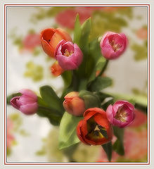 photo "***"