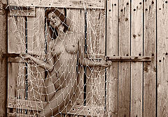 фото "netgames"