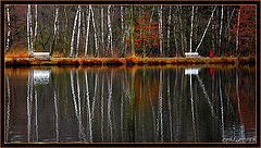 фото "reflection"