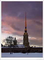 фото "Золото небес"