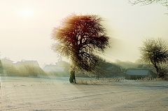 фото "The morning..."