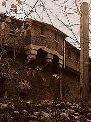 фото "суровость"
