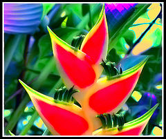 photo "Lifeboats"