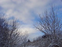 фото "палитра зимы"