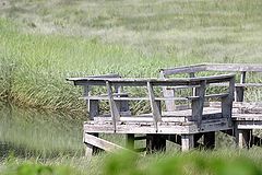 photo "The Old Dock"