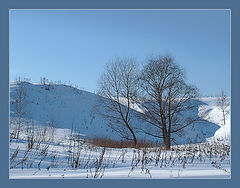 photo "March sketch"