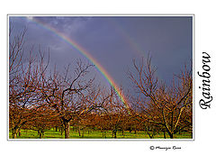 photo "Rainbow."