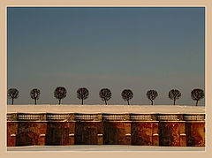 photo "***"