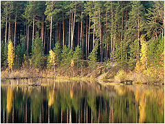 photo "The mirror"
