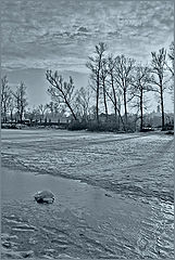 photo "The Hydropark"
