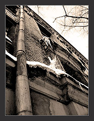 photo "***"