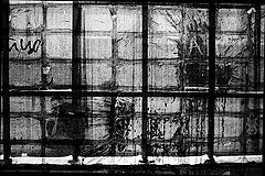 photo "***"