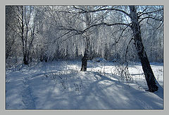 photo "***"