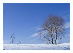 photo "***"