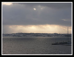 photo "gray harbour"