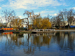 фото "Calm Waters"