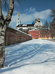 фото "Голубые тени"