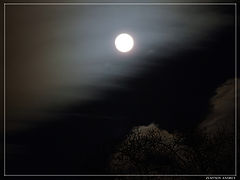 photo "Moon"