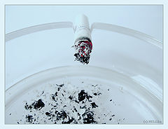 photo "slow death"