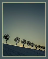 photo "***"