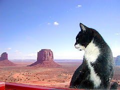 фото "Room with a view."