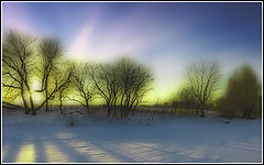 photo "***"