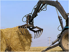 photo "The iron monster has breakfast."