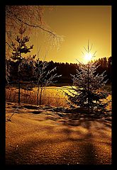 фото "Morning light"