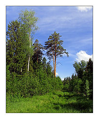 фото "Май чародей))"