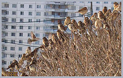 фото "Весна!.."