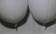 фото "Mellon d'oeil :) hehe"