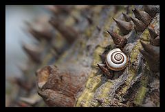 photo "Somewhere there, on other planet..."