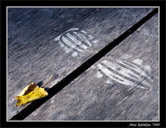 photo "***"