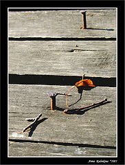 photo "***"