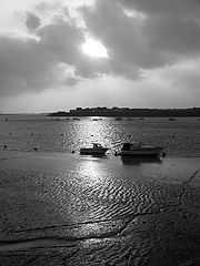 photo "Black and white morning..."