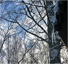 photo "Spring"