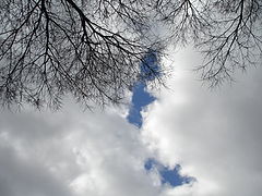 photo "a glinpse of sky"