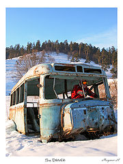 photo "Driver"