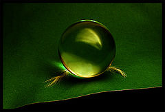 photo "caviar"