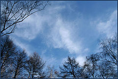 photo "***"