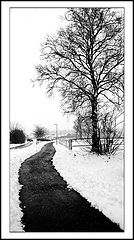 фото "winter"