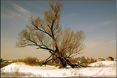 фото "Солнечный денек.."