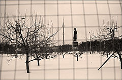 photo "michurin"