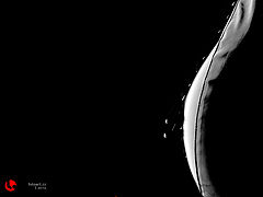 фото "backside"