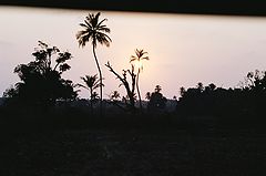 photo "***"
